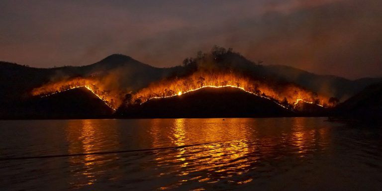 Incendies en Australie 2019 et 2020