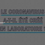 vidéo de France info et France Culture sur le coronavirus