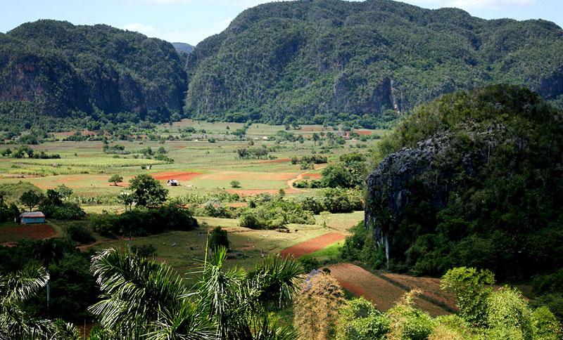 La vallée de Viñales à Cuba