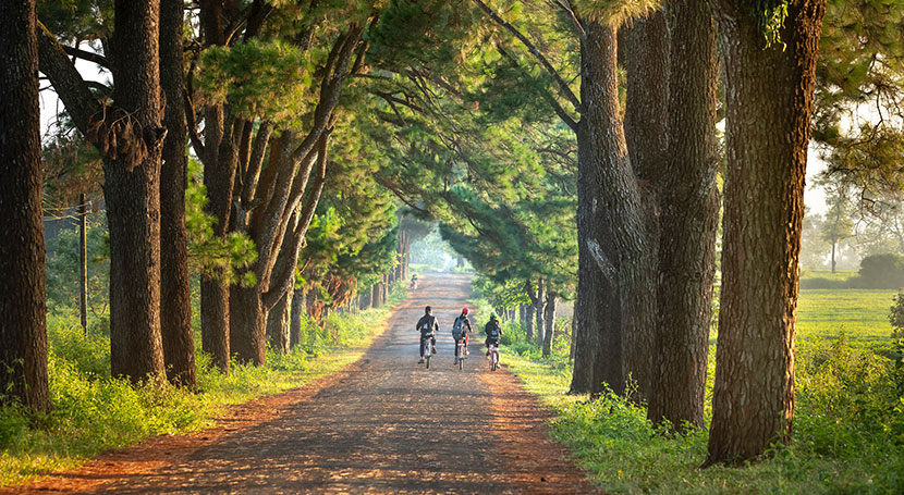 Enfants en vélo sur un chemin de campagne