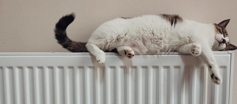 Chat allongé sur un radiateur au gaz