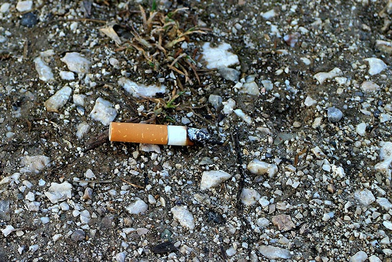 mégot de cigarette jeté au sol