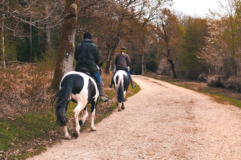 Organiser des balades à cheval