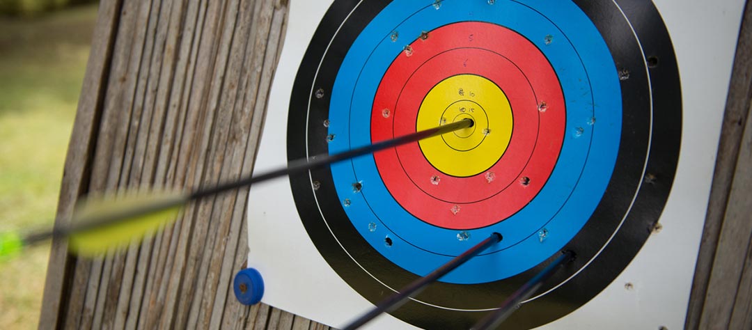 Une cible d'entraînement avec des flèches