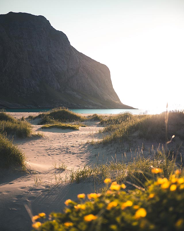 Plage sur les îles Lofoten en Norvège