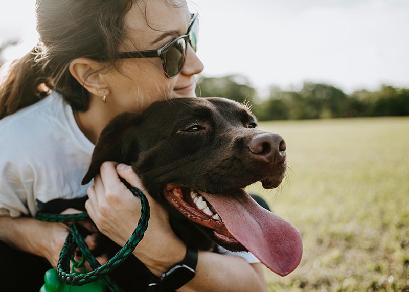 médiation animale avec un chien