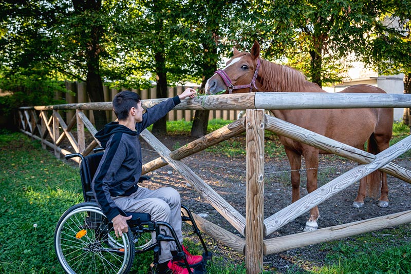 médiation animale avec un cheval