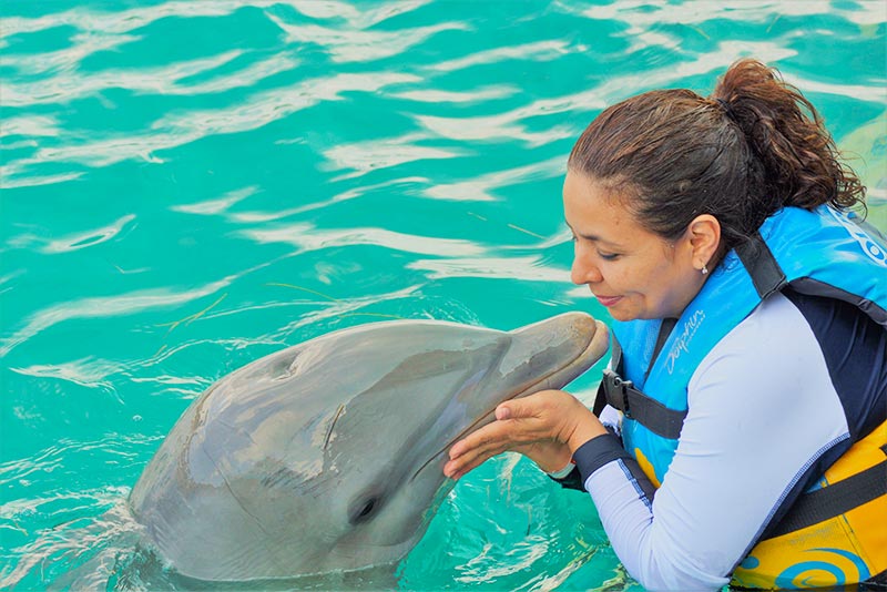 médiation animale avec un dauphin