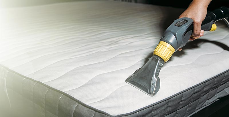 nettoyage matelas à la vapeur contre les punaises de lit