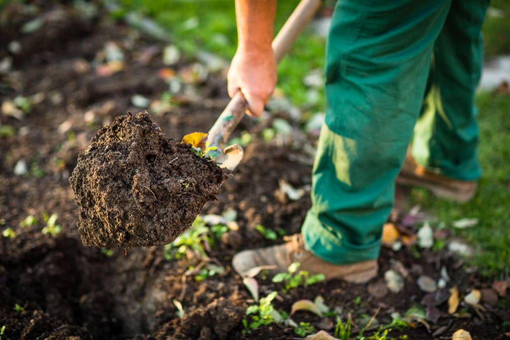 ajouter du compost au potager avant d'utiliser la grelinette