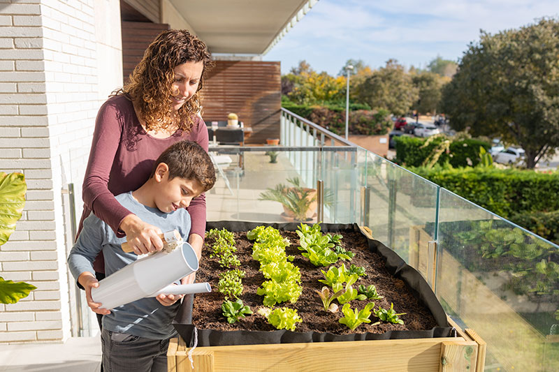 aménager potager urbain sur un balcon, bac en bois