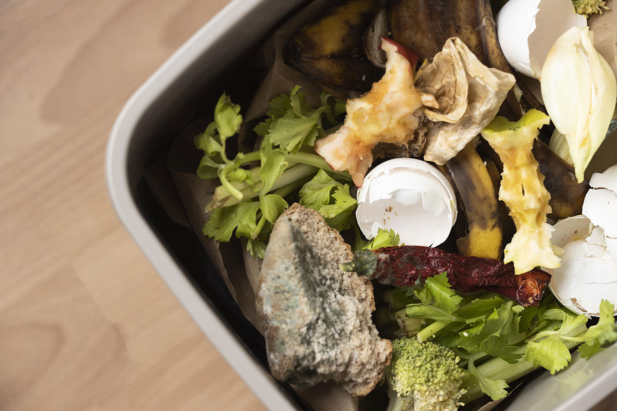 trier ses biodéchets compostables à la maison ou en appartement
