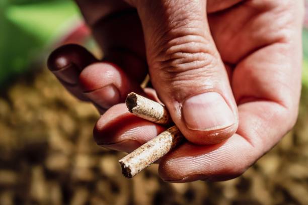 poêle à bois pellets granulés de bois stockage chauffage